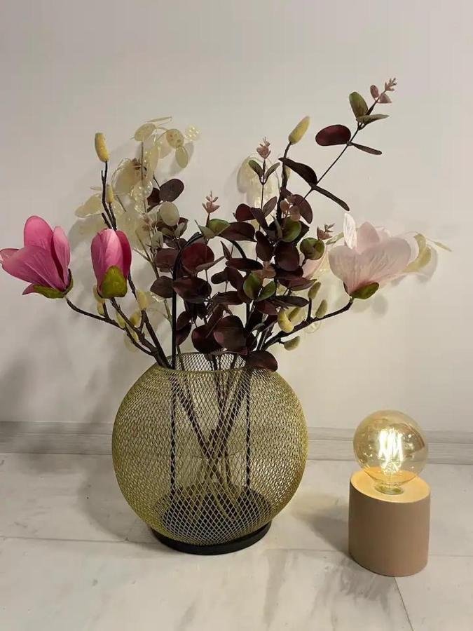 Peacock Studio Năvodari 외부 사진
